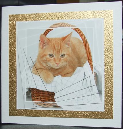 Ginger Cat Twisted Pyramid by GWYNETH GEORGE