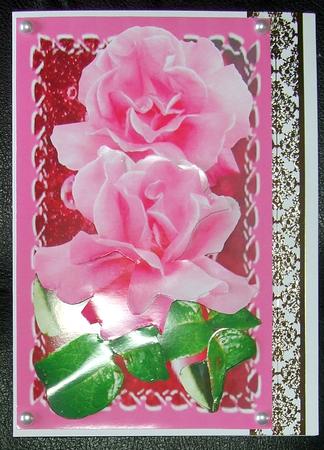 Ladies Rose by GWYNETH GEORGE
