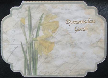 228 Shaped Daffodil Note Card by GWYNETH GEORGE