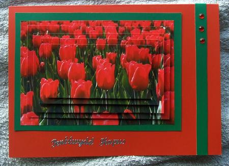 Red Tulips Pyramage by GWYNETH GEORGE