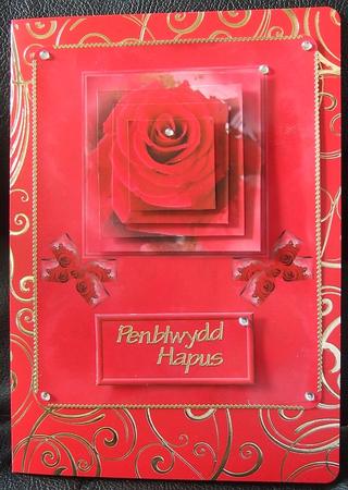 Red Rose and Bows by GWYNETH GEORGE