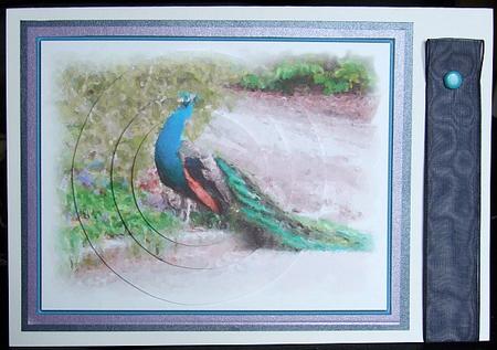 Peacock by GWYNETH GEORGE