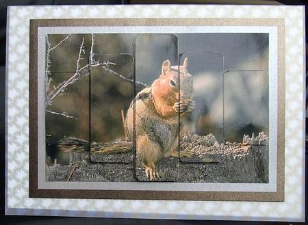 Panelled Squirrel by GWYNETH GEORGE