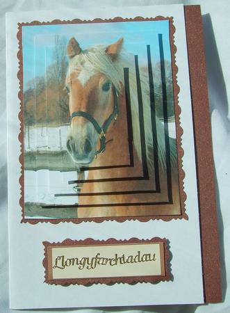Lovely Horse in a Frame with Pyramids by GWYNETH GEORGE