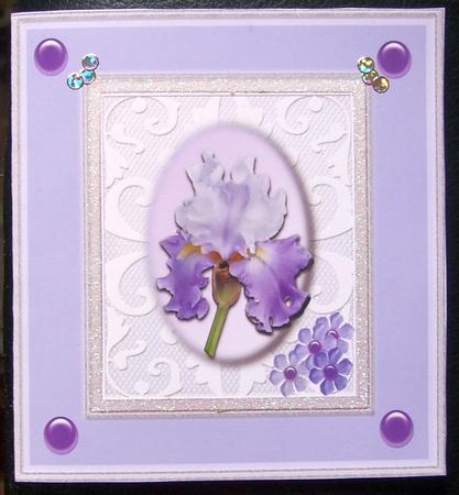 Two Complete Sets Purple Iris and Bearded Iris by GWYNETH GEORGE