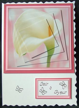 Beautiful Calla Lily Spiral Pyramid by GWYNETH GEORGE