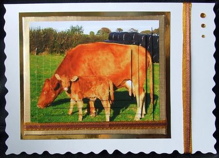 Cow and Her Baby Calf in the Meadows Pyramids by GWYNETH GEORGE