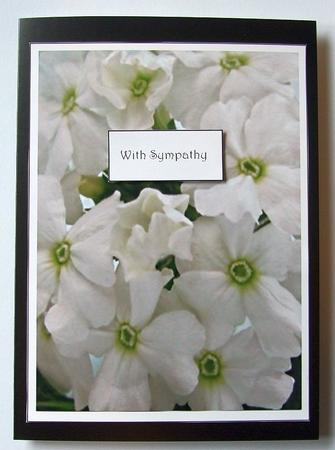 With Sympathy Design Sheet White Phlox by GWYNETH GEORGE