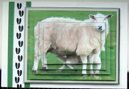 Sheep & Lamb Pyramid by GWYNETH GEORGE