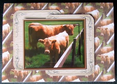 Highland Cow & Calf Pyramid with Background by GWYNETH GEORGE