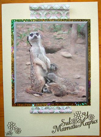Meerkat Mum & Babies 3D Decoupage by GWYNETH GEORGE