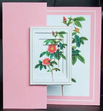 Pink Vintage Rose Fold Back by GWYNETH GEORGE