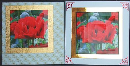 Proud Red Poppy by GWYNETH GEORGE
