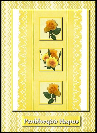 4 Yellow Jello Paper Pack by GWYNETH GEORGE