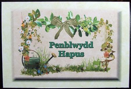 Foiled Paper Pack Cu Resource by GWYNETH GEORGE