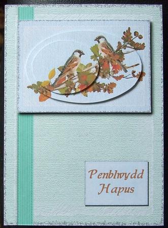 Watering Can Frame and Sparrows in an Autumn Hedge by GWYNETH GEORGE