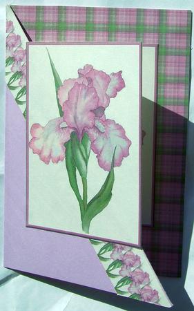 Lilac Flowers by GWYNETH GEORGE