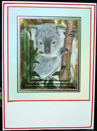 Little Koala by GWYNETH GEORGE
