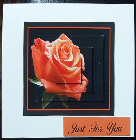 Sunset Rose by GWYNETH GEORGE