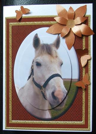 Horsing Around 2 Card Sheet by GWYNETH GEORGE