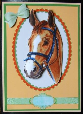 Lovely Horses Head by GWYNETH GEORGE