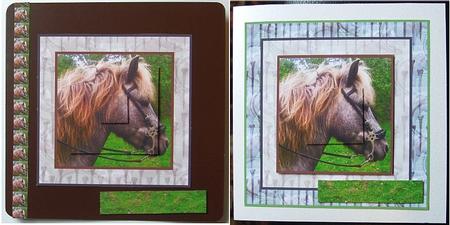 Natural Beauty on Blue Backing by GWYNETH GEORGE