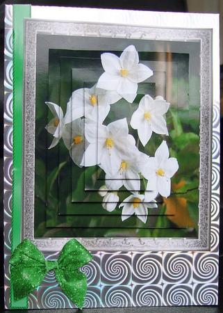 Pretty White Flowers in Silver Frame,pyramids by GWYNETH GEORGE