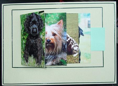 Just Dogs by GWYNETH GEORGE