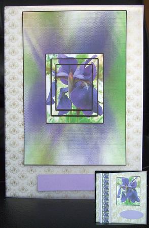 Iris Magic with Ribbon Add Your Own Greeting by GWYNETH GEORGE