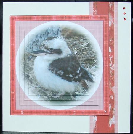 Kookaburra by GWYNETH GEORGE