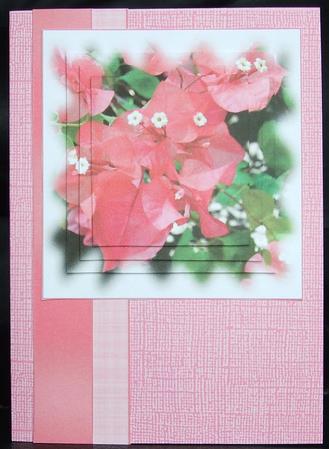 Bougainvillea Pyramid by GWYNETH GEORGE