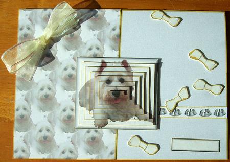 Westie Laid Pyramid with Background by GWYNETH GEORGE