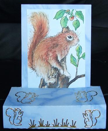 Red Squirrel and Grey Rabbit Watercolour Paintings by GWYNETH GEORGE