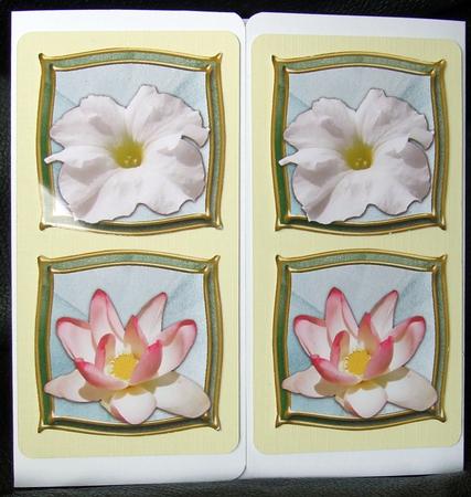 Flowers by GWYNETH GEORGE