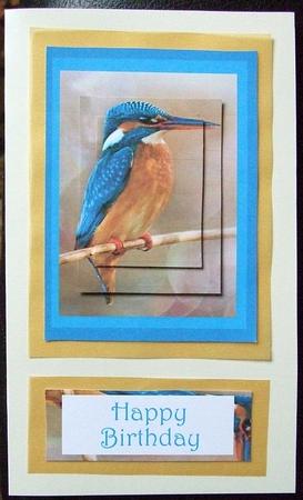 Kingfisher Rectagonal by GWYNETH GEORGE
