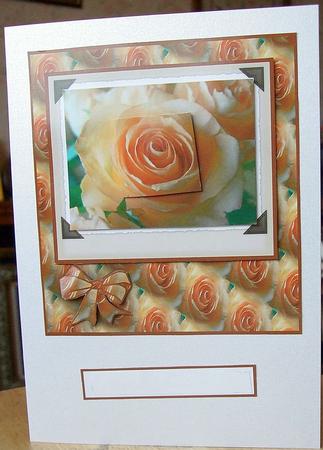 Peach Rose for All Occasions by GWYNETH GEORGE