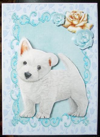 Cute Westie Puppy by GWYNETH GEORGE