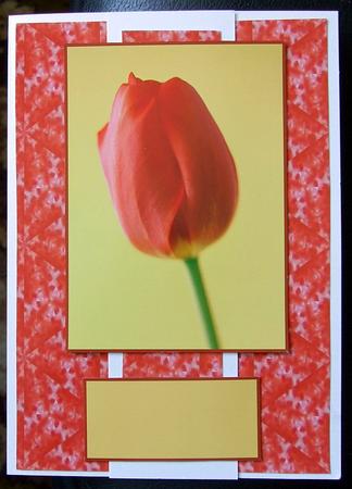 Gorgeous Red Tulip Pyramid by GWYNETH GEORGE