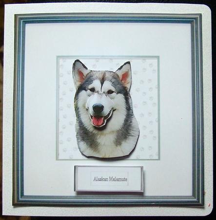 Alaskan Malamute Portrait 3D Decoupage by GWYNETH GEORGE