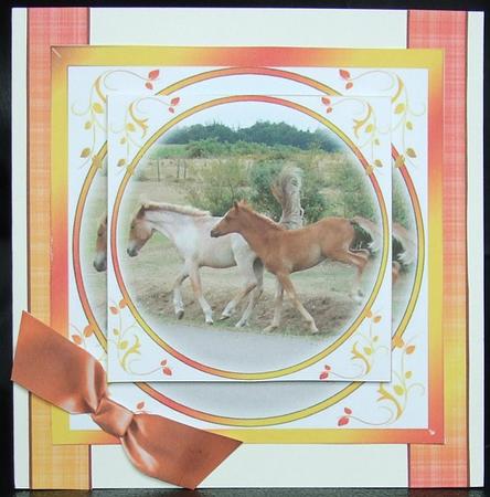 Playful Ponies by GWYNETH GEORGE