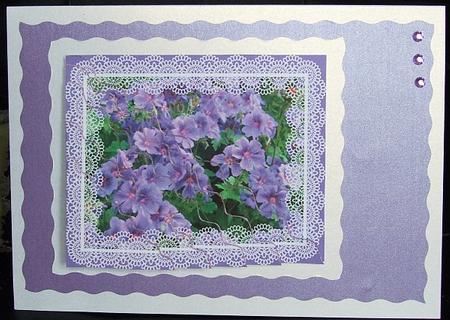 Abundance of Flowers by GWYNETH GEORGE
