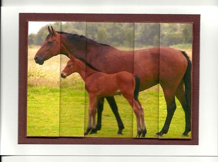 Horse & Foal Side Stacker by GWYNETH GEORGE