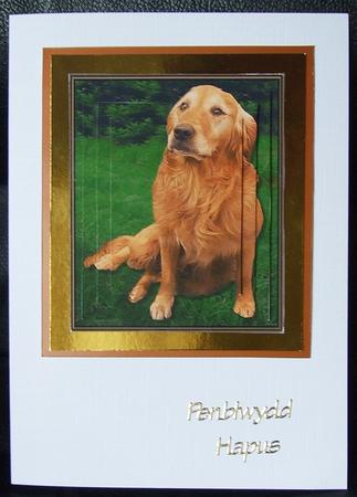 Golden Retriever Scene Pyramid by GWYNETH GEORGE