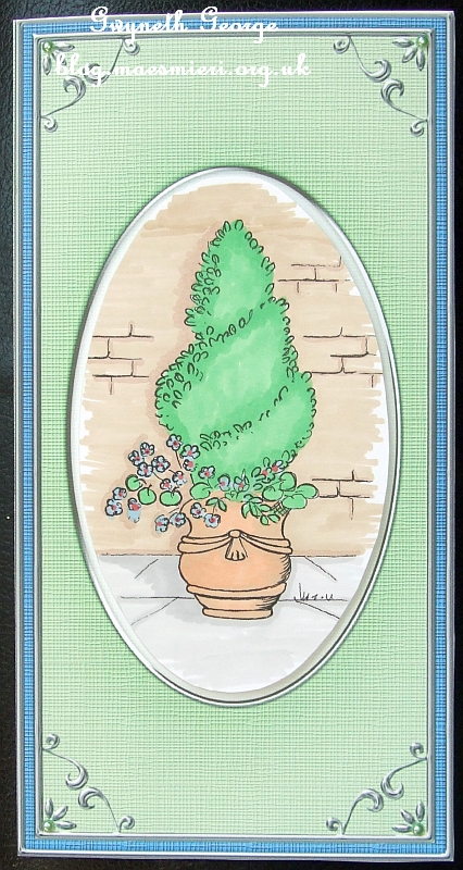 Dl 'silver Metallic Frame' Card Front or Insert by GWYNETH GEORGE