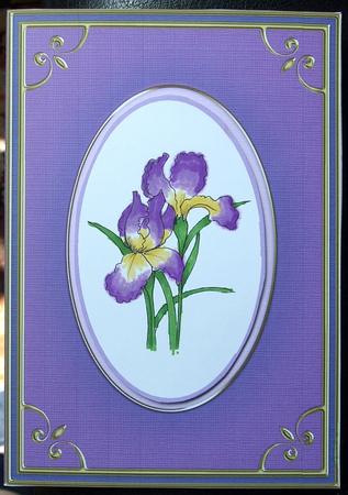 A5 'gold Metallic Frame' Card Front or Insert by GWYNETH GEORGE