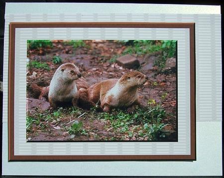 Otters by GWYNETH GEORGE