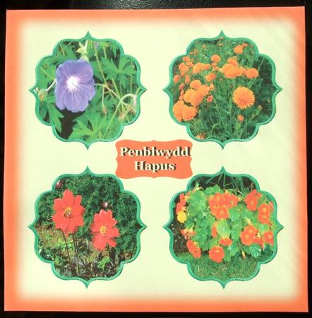 Flower Frames 2 by GWYNETH GEORGE
