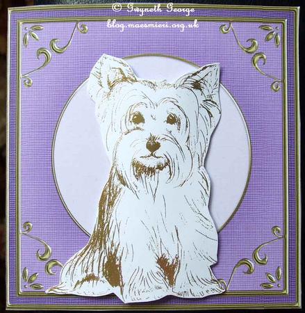 Square 'gold Metallic Frame' Card Front or Insert by GWYNETH GEORGE