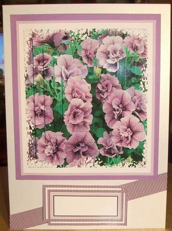 Purple Petunia Pyramid Stacker Design Sheet by GWYNETH GEORGE