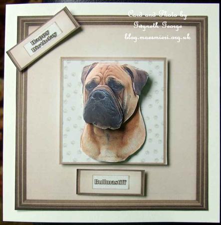 Bullmastiff Portrait 3D Decoupage by GWYNETH GEORGE